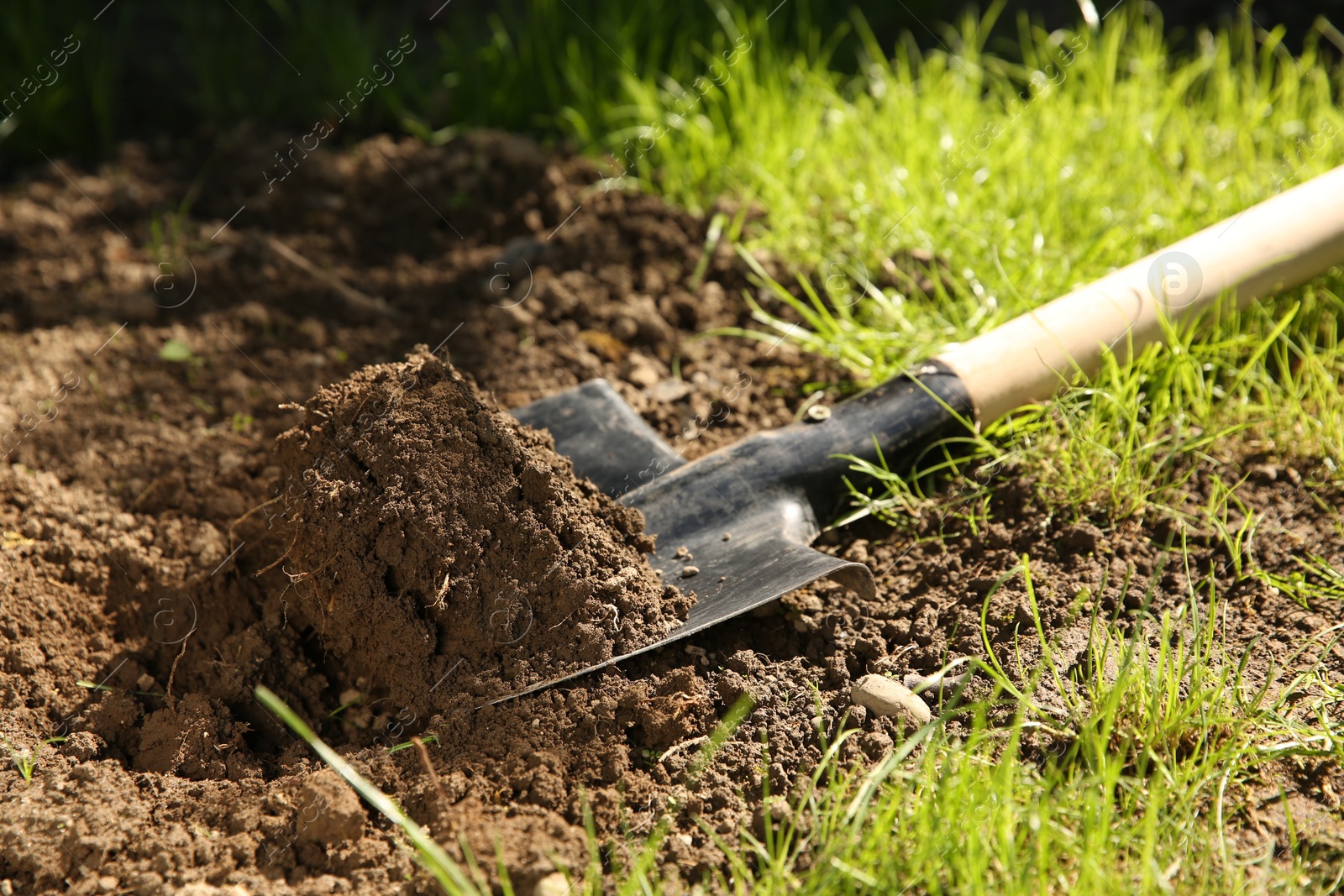 Photo of One shovel with soil on ground on sunny day. Gardening season