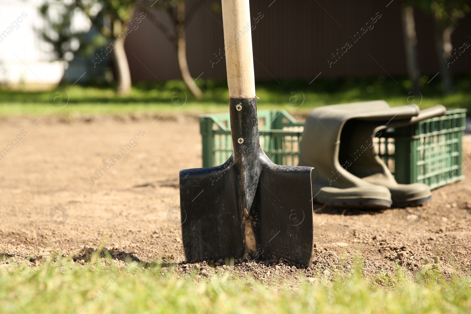 Photo of One shovel sticking out of ground on sunny day. Gardening season