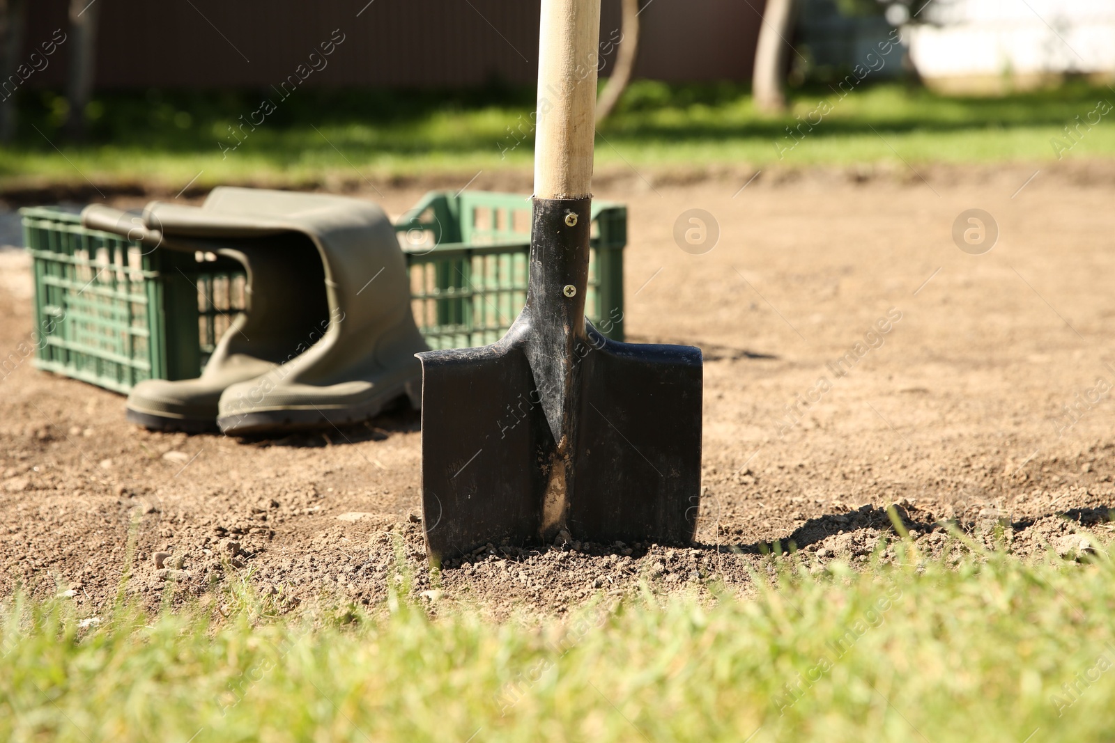 Photo of One shovel sticking out of ground on sunny day. Gardening season