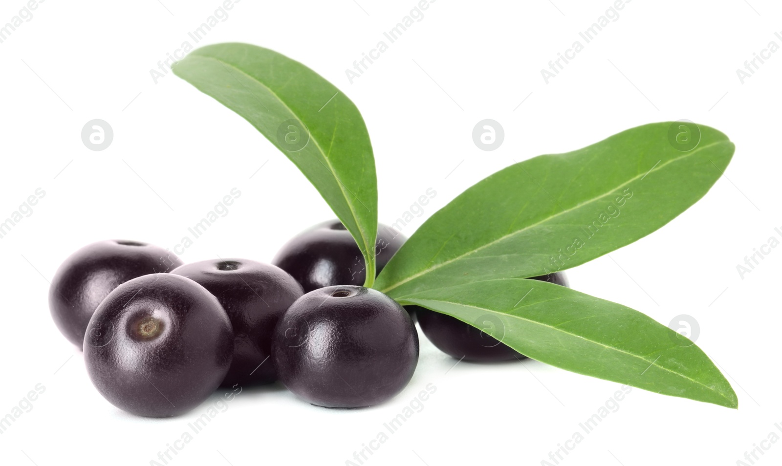 Photo of Fresh ripe acai berries and green leaves isolated on white