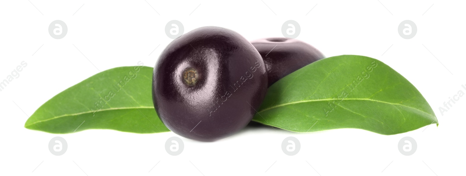 Photo of Fresh ripe acai berries and green leaves isolated on white