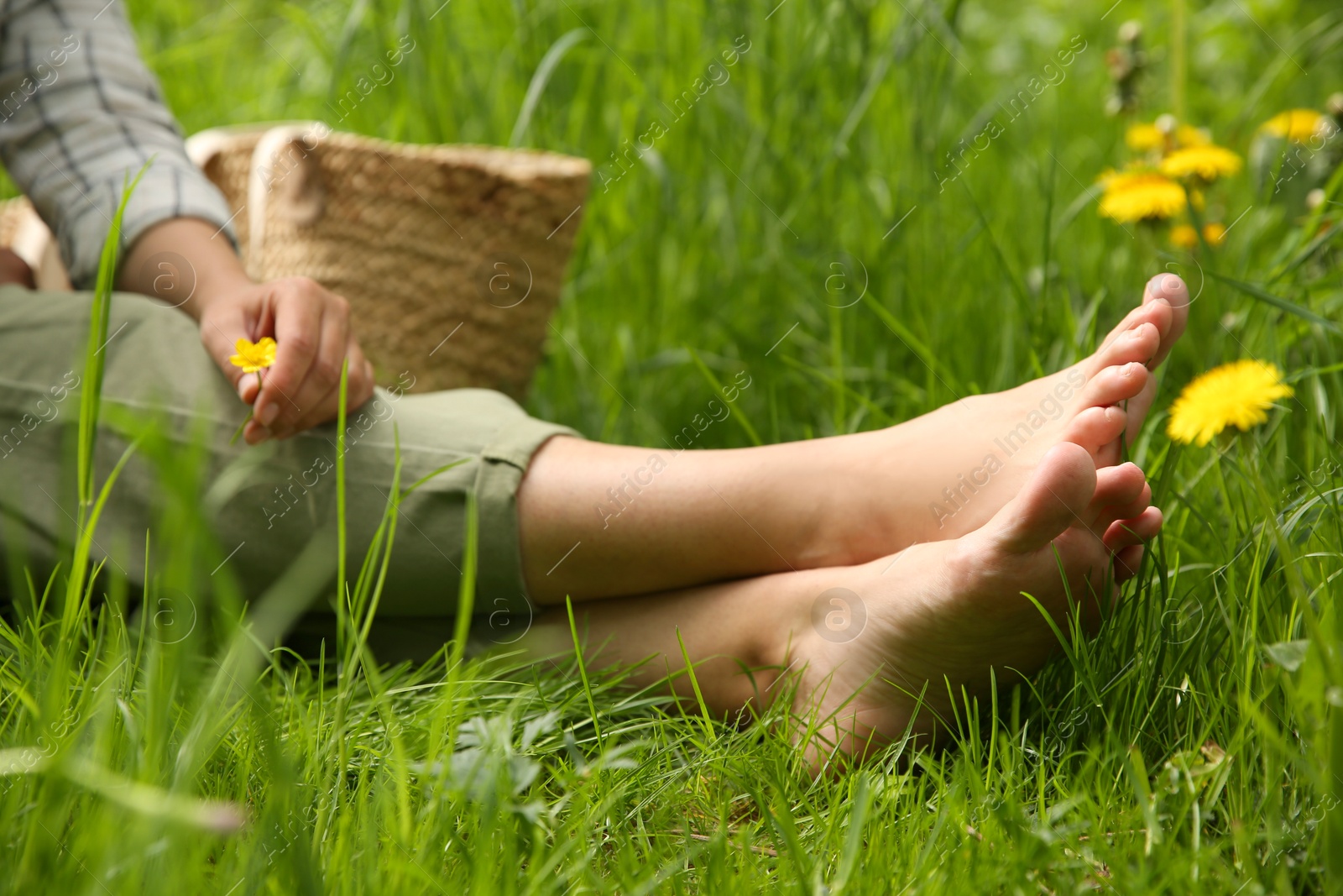 Photo of Woman sitting barefoot on green grass outdoors, closeup