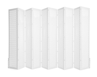 Folding screen isolated on white. Stylish furniture