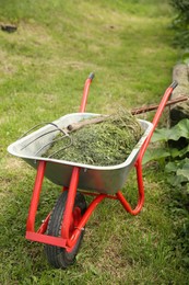 Wheelbarrow with mown grass and pitchfork outdoors