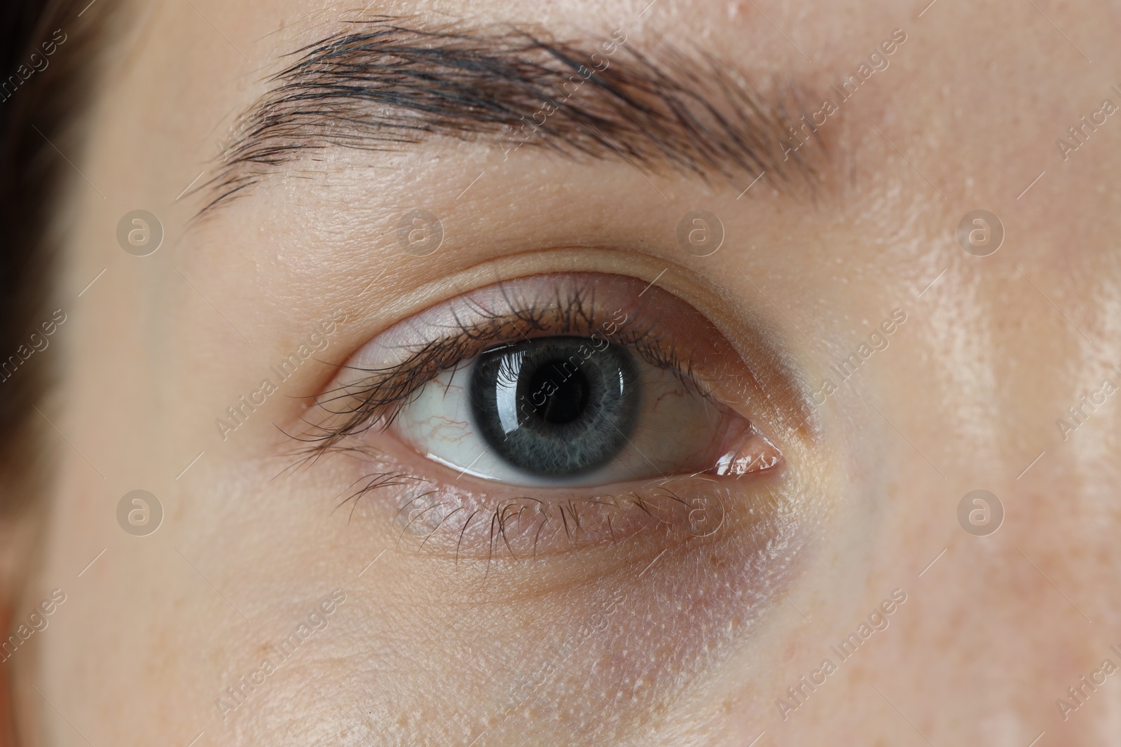 Photo of Woman with beautiful blue eyes, macro photo