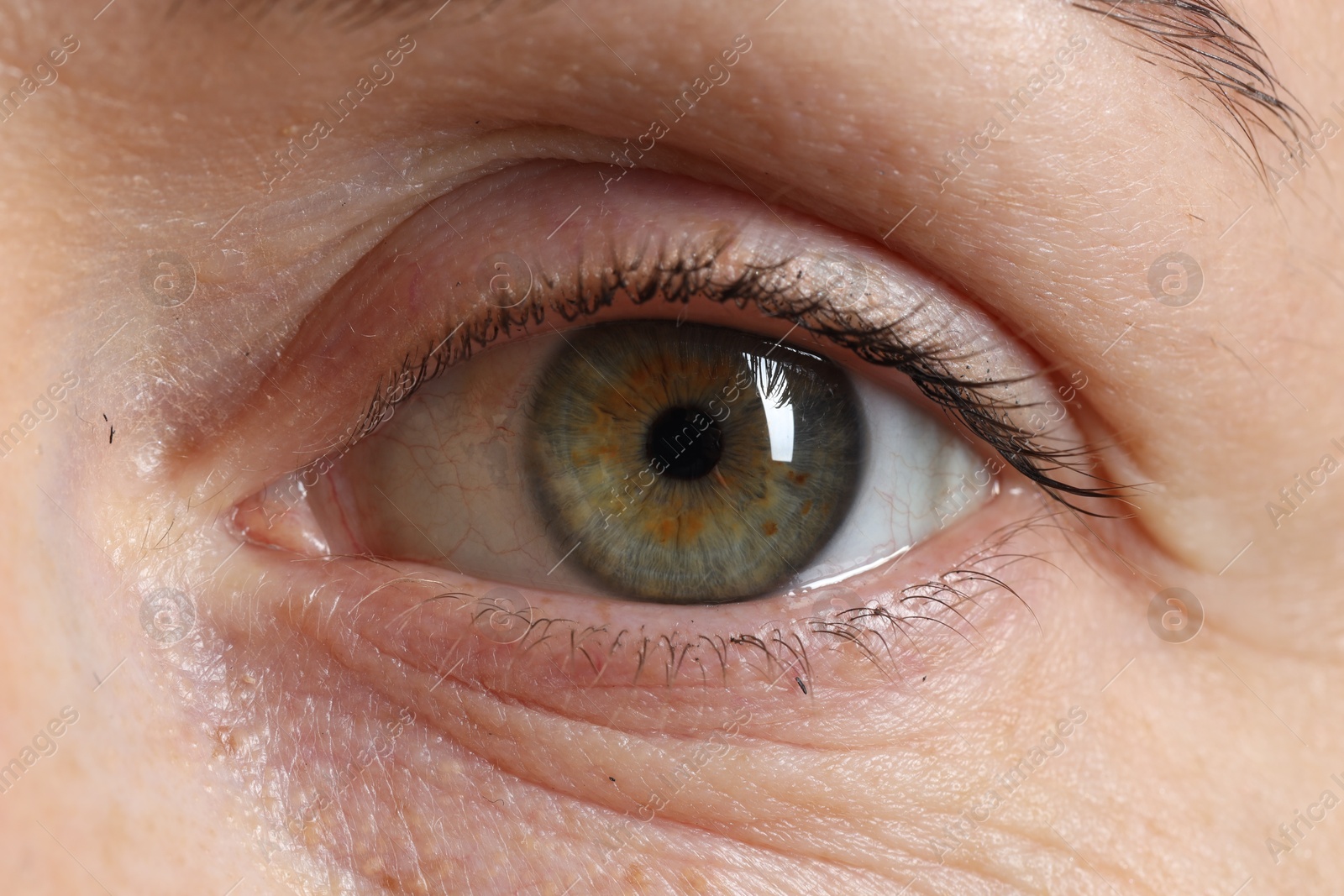 Photo of Woman with beautiful green eyes, macro photo