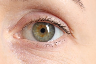 Woman with beautiful green eyes, macro photo