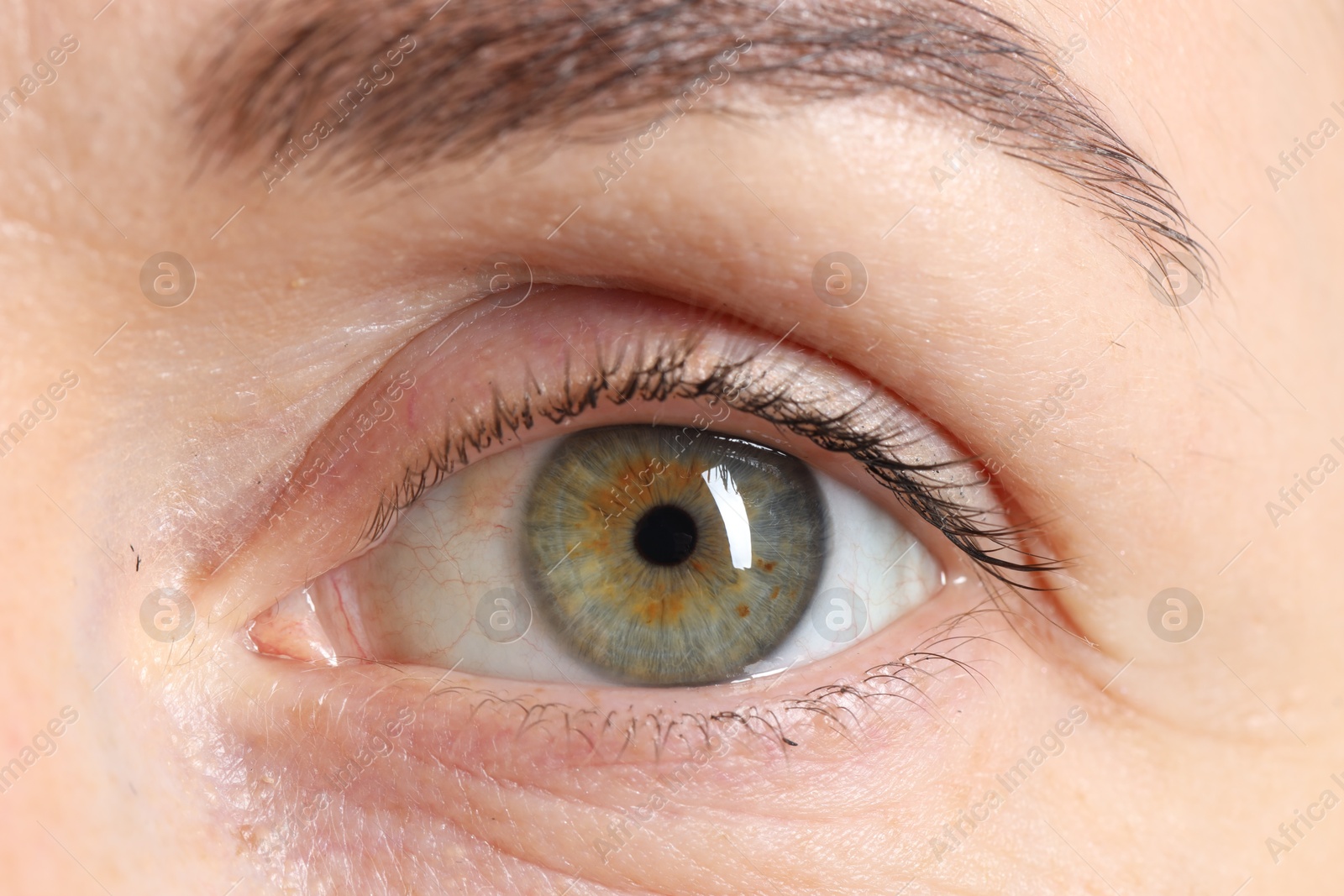 Photo of Woman with beautiful green eyes, macro photo