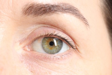 Woman with beautiful green eyes, macro photo