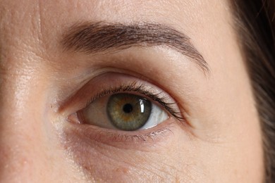 Woman with beautiful green eyes, macro photo