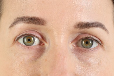 Woman with beautiful green eyes, closeup view