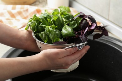 Photo of Woman with metal colander of different fresh basil leaves above sink, closeup