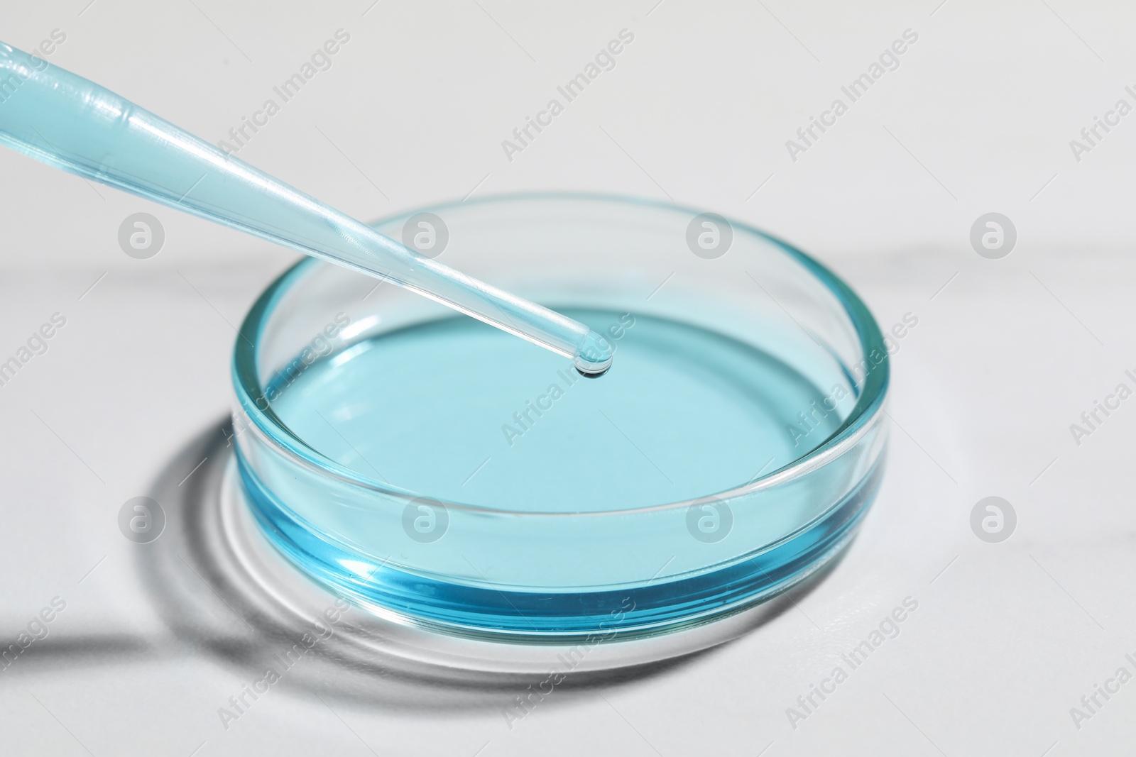 Photo of Dripping liquid from pipette into petri dish at white table, closeup