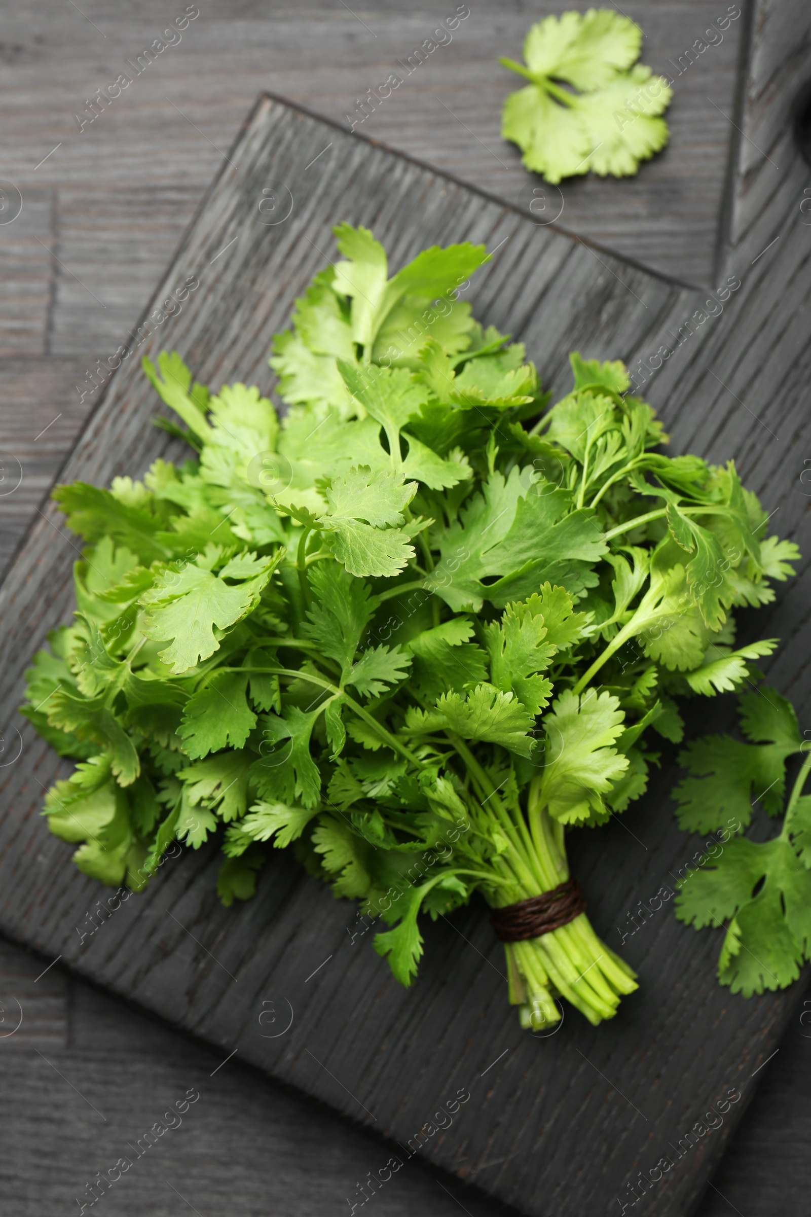 Photo of Bunch of fresh coriander on black wooden table, top view