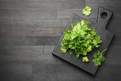 Bunch of fresh coriander on black wooden table, top view. Space for text