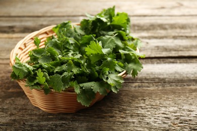 Fresh coriander in wicker basket on wooden table, closeup