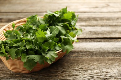 Fresh coriander in wicker basket on wooden table, closeup. Space for text