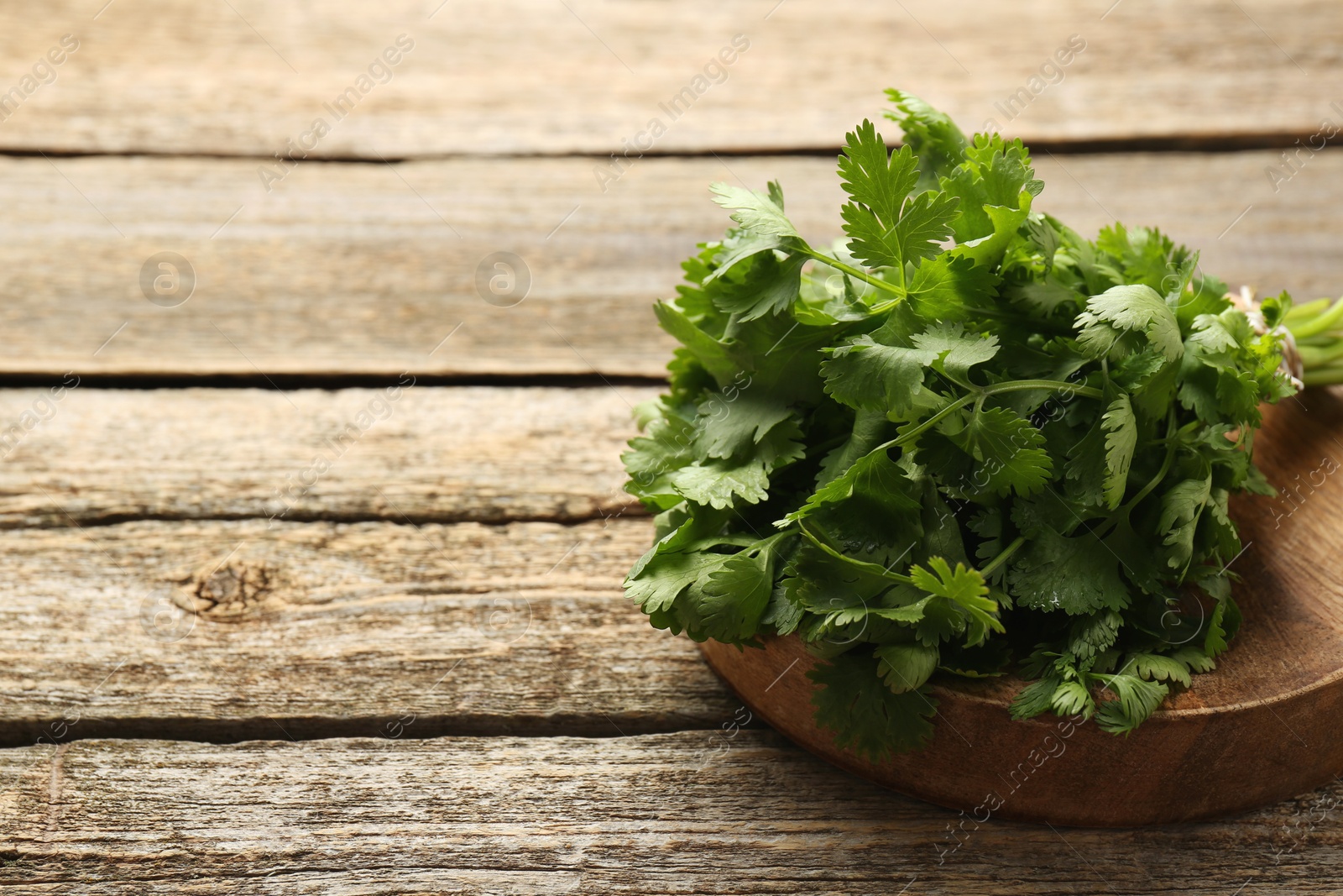 Photo of Bunch of fresh coriander on wooden table, space for text