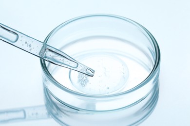 Photo of Glass pipette and petri dish with liquid on light background, closeup