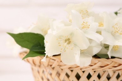 Beautiful jasmine flowers in wicker basket against blurred background, closeup