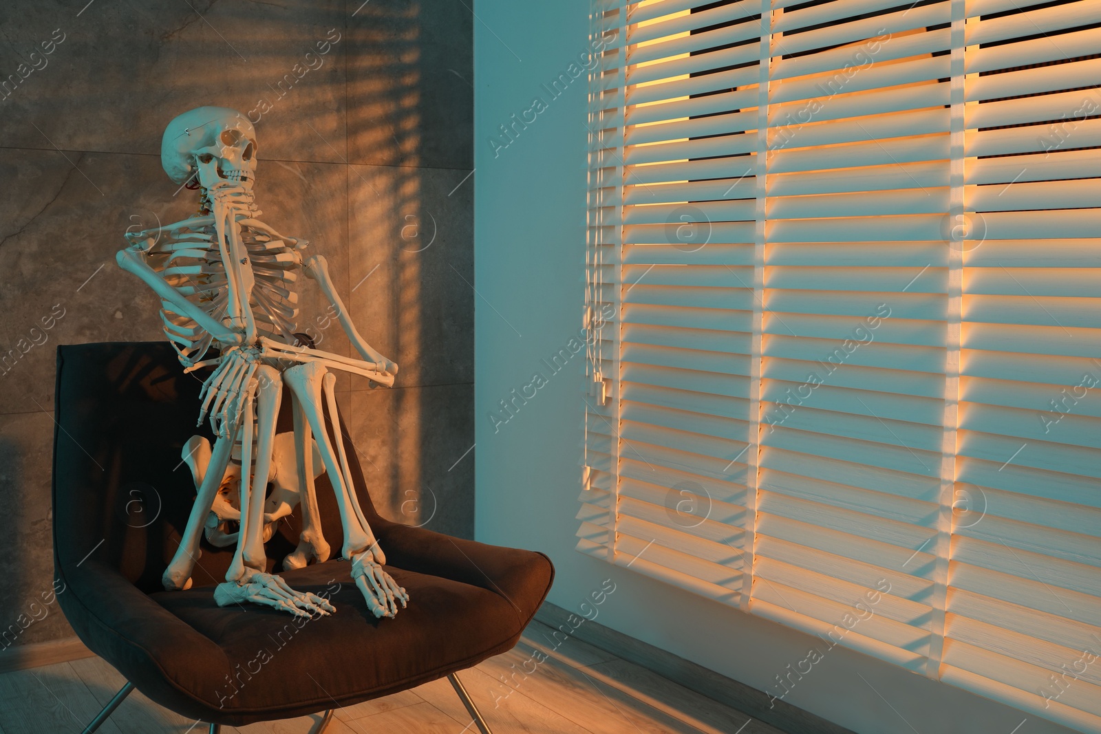 Photo of Waiting concept. Human skeleton sitting in armchair indoors, space for text