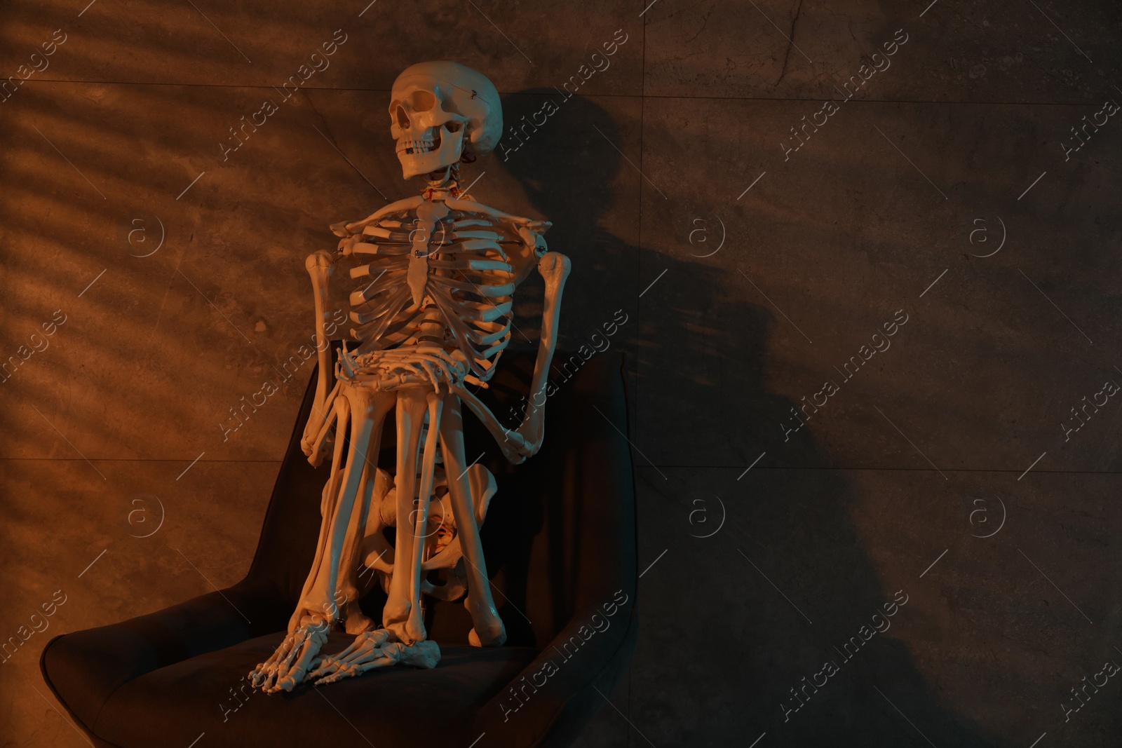 Photo of Waiting concept. Human skeleton sitting in armchair indoors, space for text