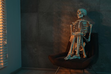 Photo of Waiting concept. Human skeleton sitting in armchair indoors, space for text