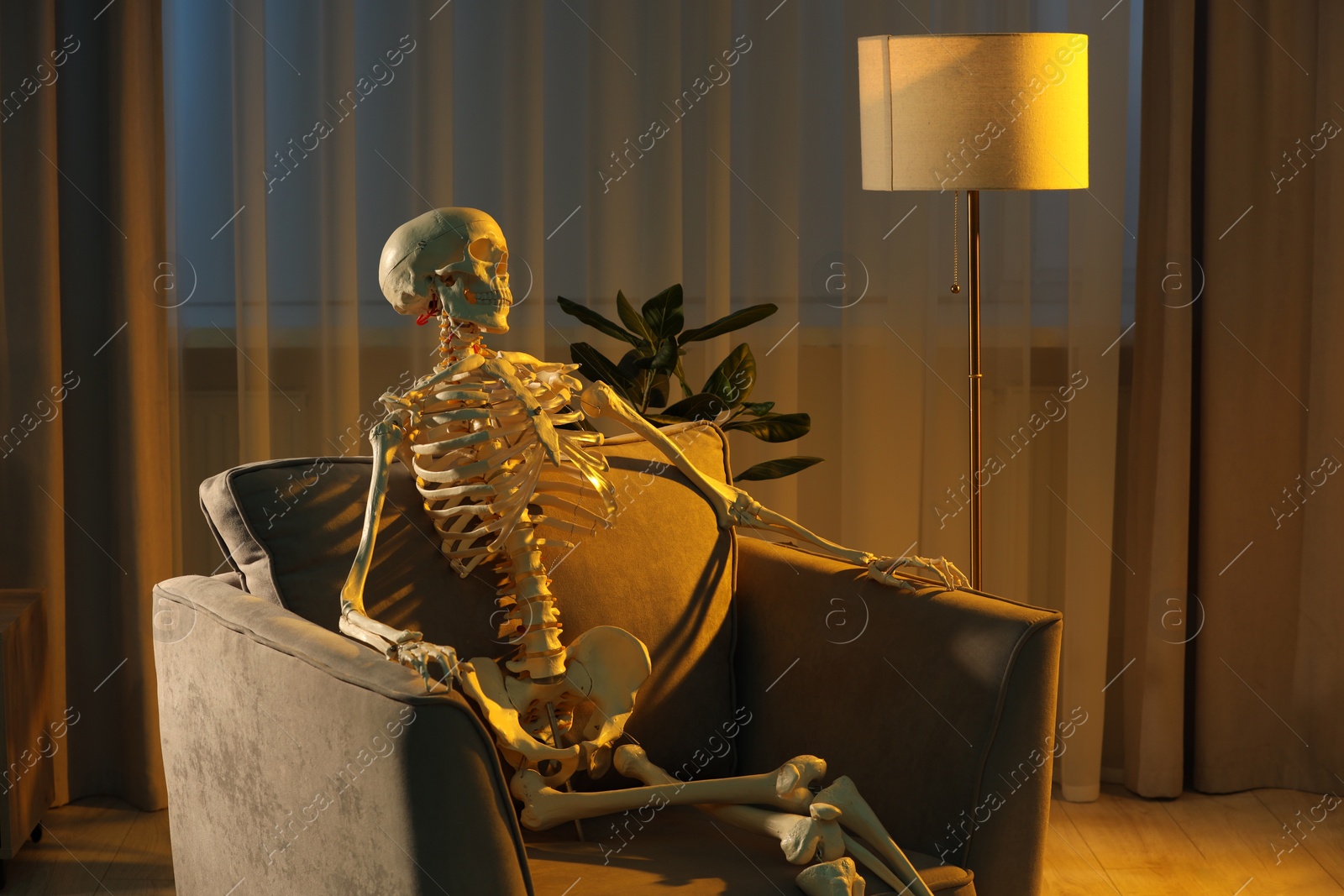 Photo of Waiting concept. Human skeleton sitting in armchair indoors, space for text