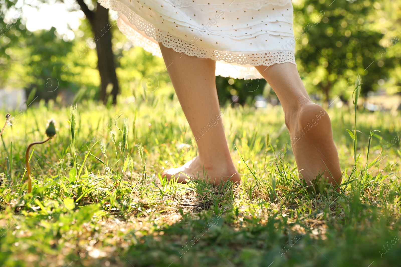 Photo of Woman walking barefoot on green grass outdoors, closeup