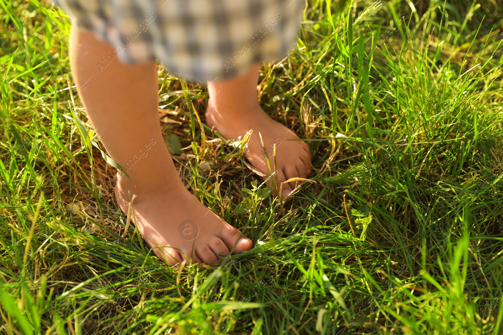 Photo of Child walking barefoot on green grass outdoors, closeup