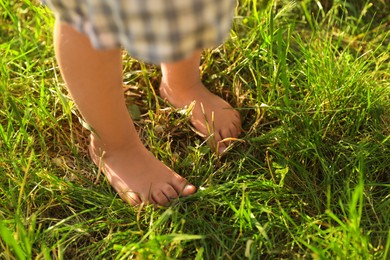 Photo of Child walking barefoot on green grass outdoors, closeup