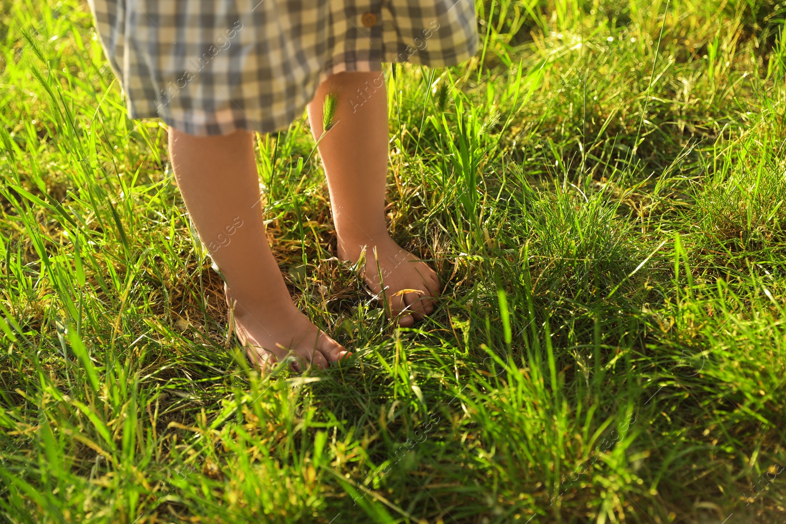 Photo of Child walking barefoot on green grass outdoors, closeup