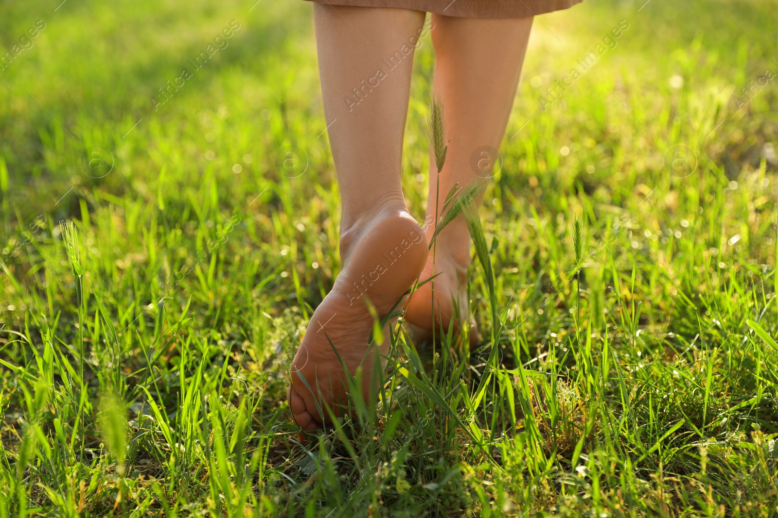 Photo of Woman walking barefoot on green grass outdoors, closeup