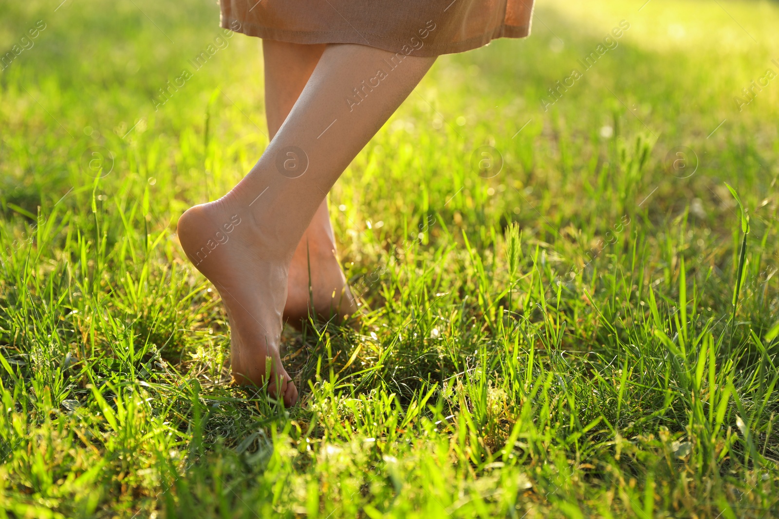 Photo of Woman walking barefoot on green grass outdoors, closeup