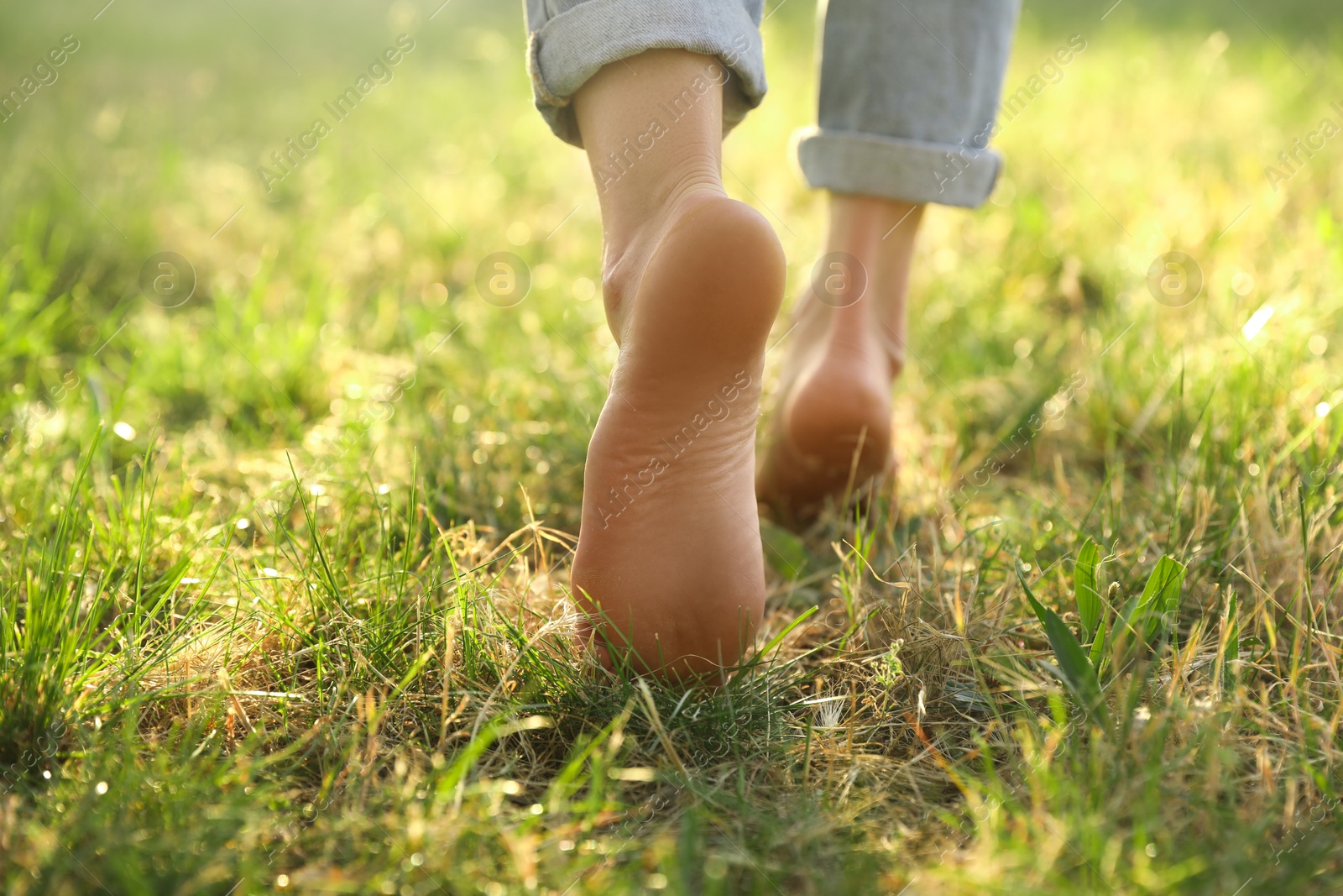 Photo of Woman walking barefoot on green grass outdoors, closeup