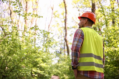 Forester in hard hat examining plants in forest