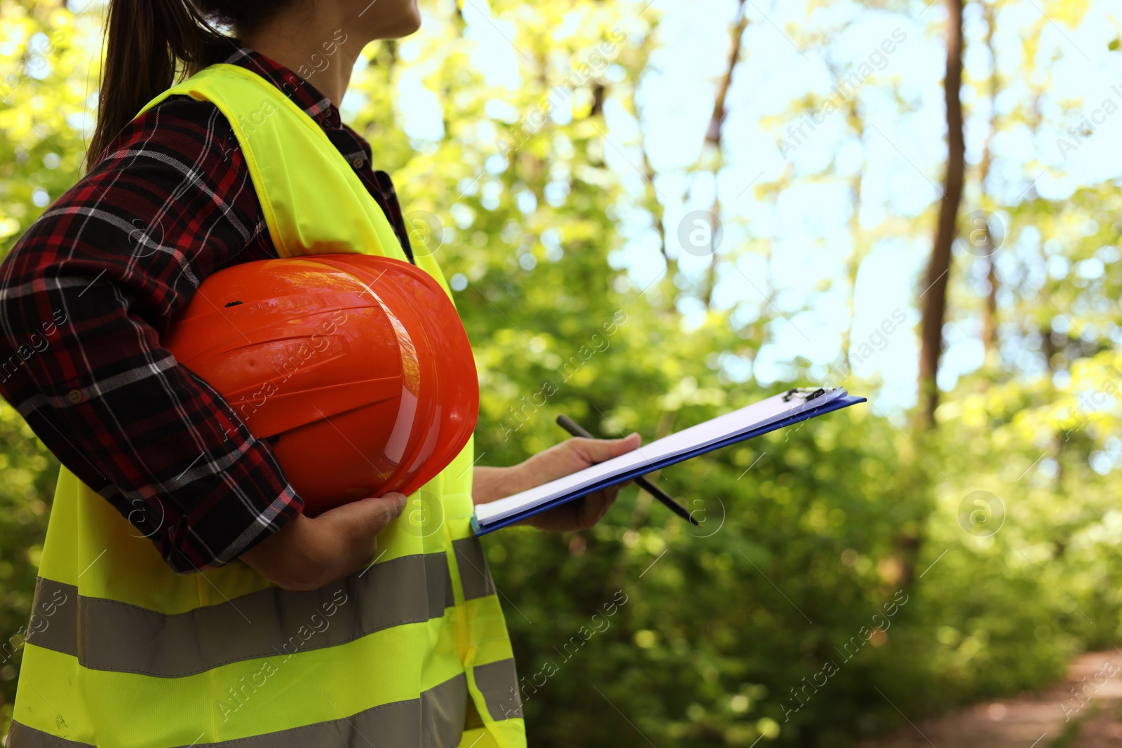 Photo of Forester with hard hat and clipboard examining plants in forest, closeup