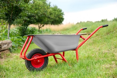 Photo of Wheelbarrow on green mown grass in garden