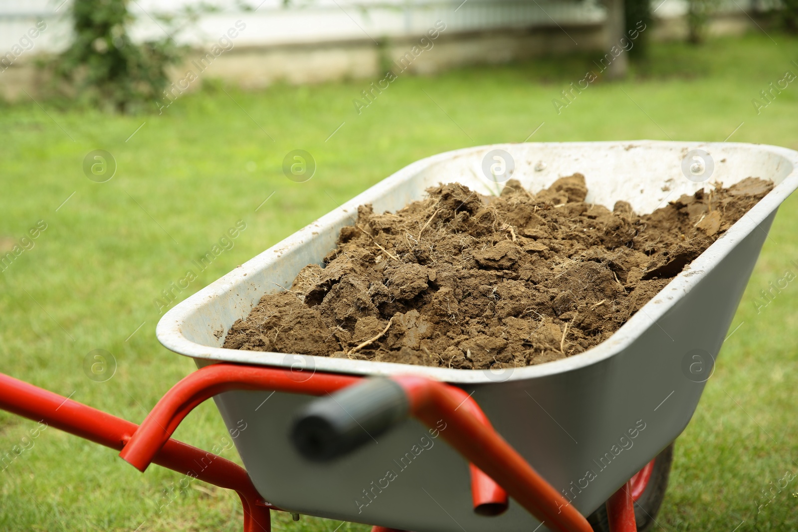 Photo of Wheelbarrow with soil on green grass outdoors, closeup