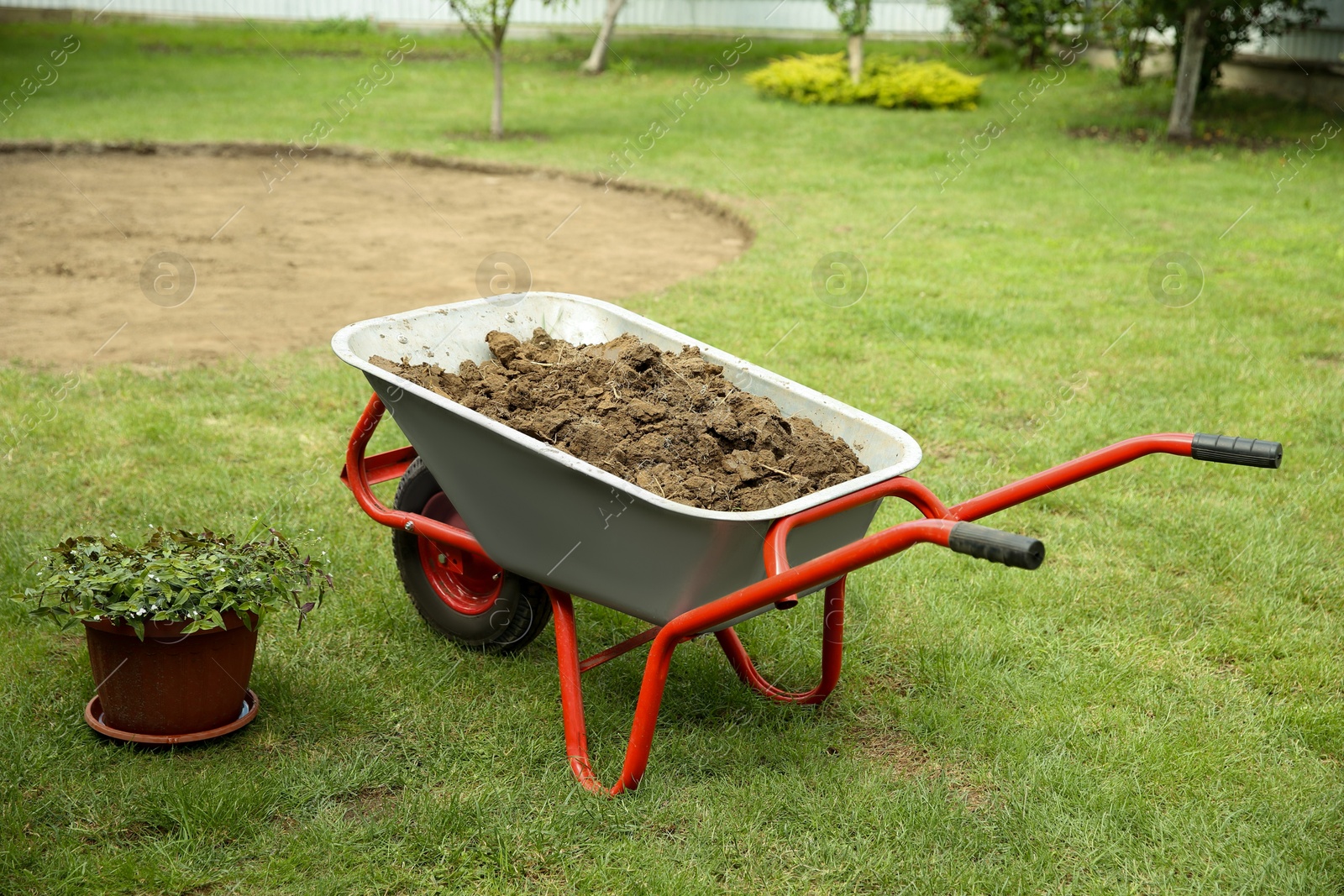 Photo of Wheelbarrow with soil on green grass outdoors
