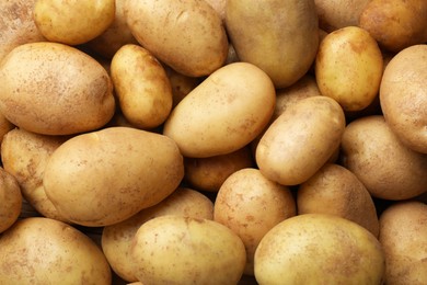 Many fresh potatoes as background, top view