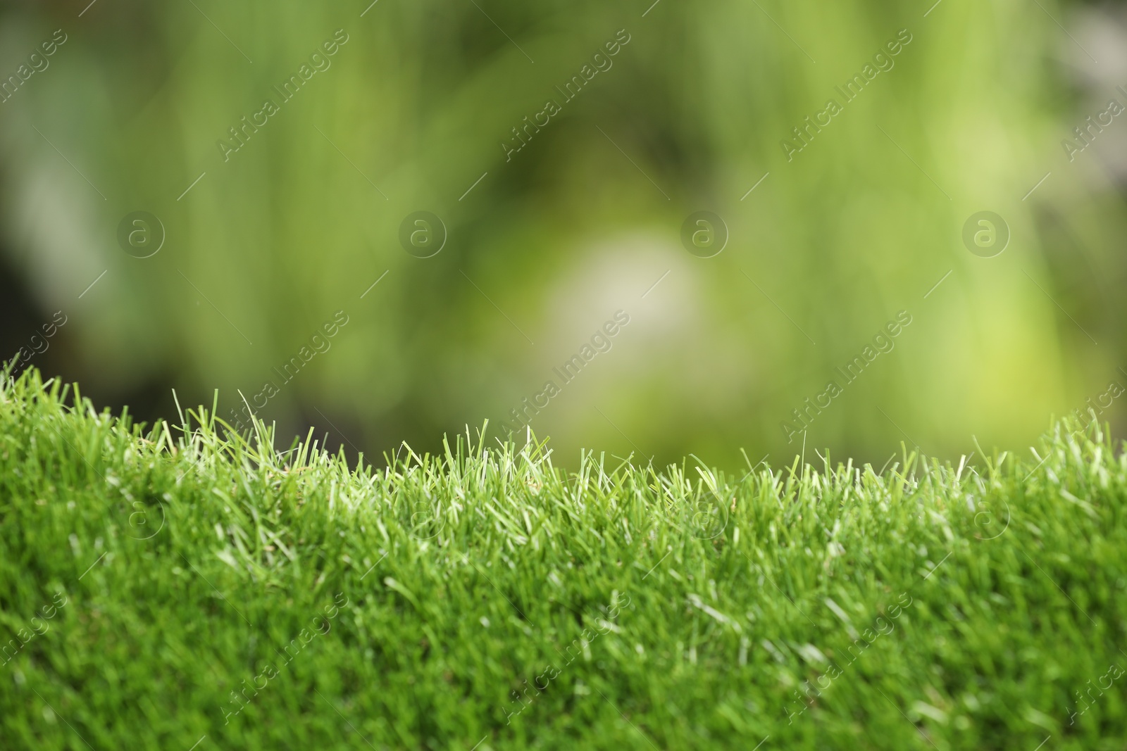 Photo of Green artificial grass against blurred background, closeup