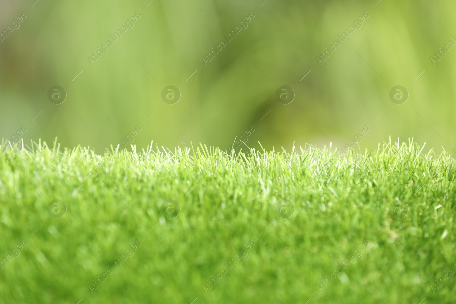 Photo of Green artificial grass against blurred background, closeup