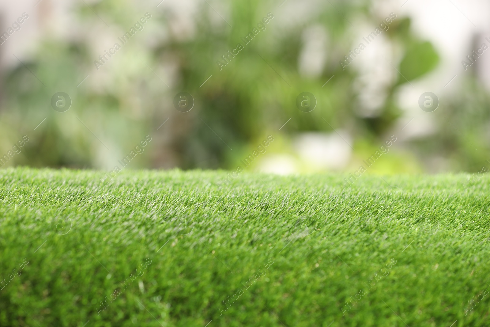 Photo of Green artificial grass against blurred background, closeup