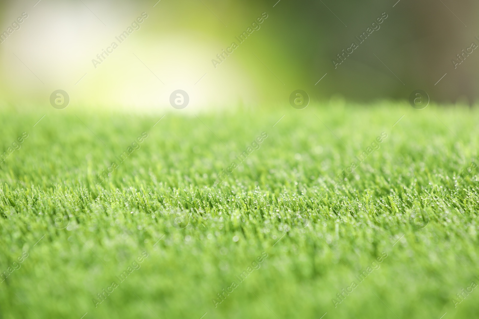 Photo of Green artificial grass against blurred background, closeup