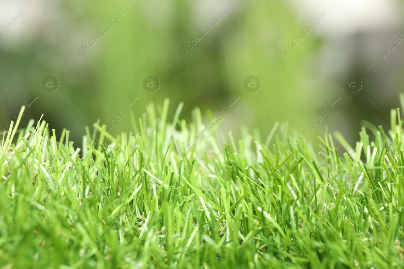 Photo of Green artificial grass against blurred background, closeup