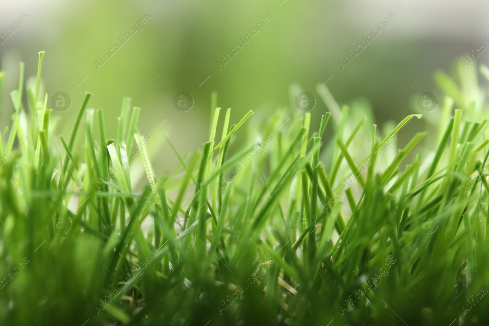 Photo of Green artificial grass against blurred background, closeup