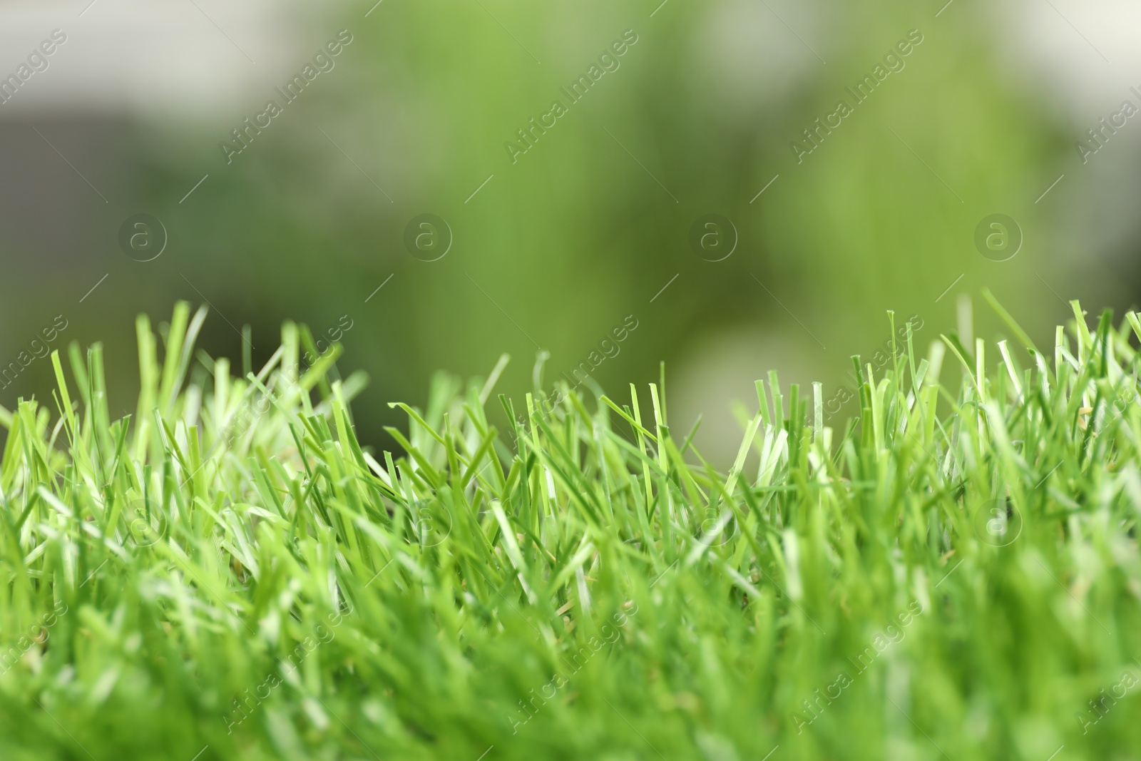 Photo of Green artificial grass against blurred background, closeup