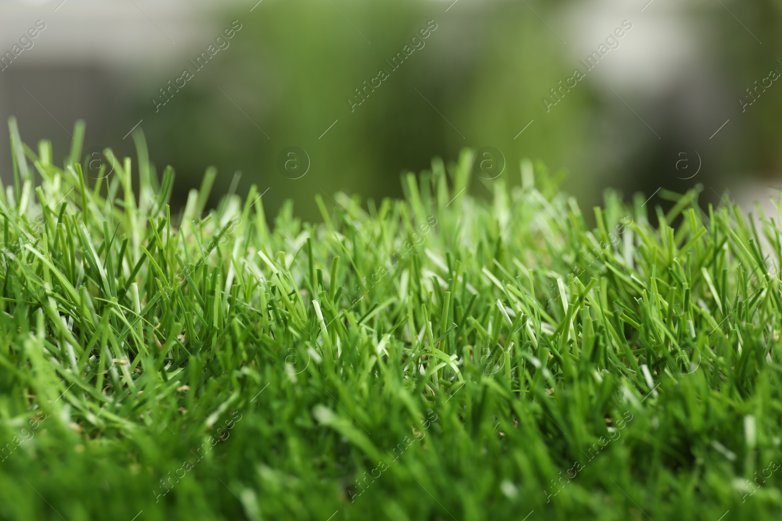 Photo of Green artificial grass against blurred background, closeup