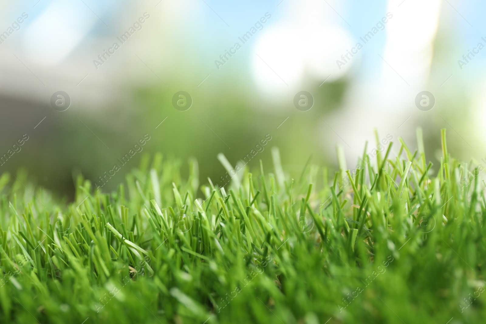 Photo of Green artificial grass against blurred background, closeup